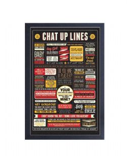 IMAGE ENCADRÉE CHAT UP LINES (33CM X 48CM)