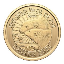 INVESTISSEMENT DE LUXE EN OR -  PREMIÈRES PIÈCES FRAPPÉES : LES MAJESTUEUX OURS POLAIRES - 1/10 ONCE EN OR PUR -  PIÈCES DU CANADA 2024 03