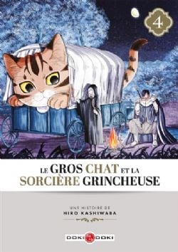 LE GROS CHAT ET LA SORCIÈRE GRINCHEUSE -  (V.F.) 04