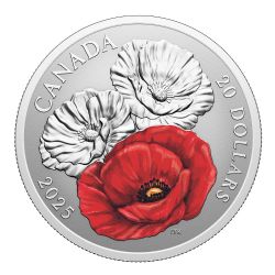 LE JOUR DU SOUVENIR -  JOUR DU SOUVENIR -  PIÈCES DU CANADA 2025
