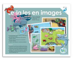 LE-LA-LES EN IMAGES (FRANÇAIS) 1