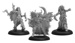 LEGION OF EVERBLIGHT -  ICE WITCHES - BLIGHTED NYSS UNIT -  HORDES