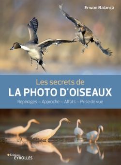 LES SECRETS DE LA PHOTO D'OISEAUX