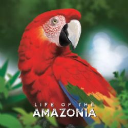 LIFE OF THE AMAZONIA -  JEU DE BASE (ANGLAIS)