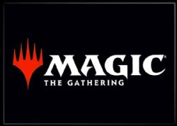 MAGIC THE GATHERING -  AIMANT 