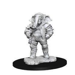 MAGIC THE GATHERING DEEP CUTS: FIGURINES NON PEINTES -  QUINTORIUS FIELD HISTORIAN -  FIGURINE JDR