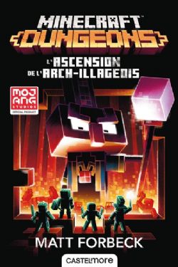 MINECRAFT -  L'ASCENSION DE L'ARCH-ILLAGEOIS (V.F.) -  DUNGEONS