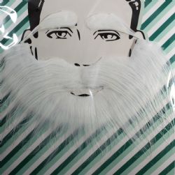 MOUSTACHES ET BARBES -  BARBE ET SOURCILS STRUDEL