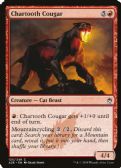 Masters 25 -  Chartooth Cougar
