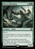 Modern Horizons 3 Commander -  Ulvenwald Hydra