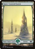 Modern Horizons -  Snow-Covered Forest