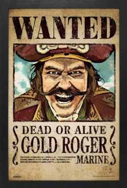 ONE PIECE -  IMAGE ENCADRÉE - WANTED POSTER DE GOLD ROGER (33 CM X 48 CM) -  PONE PIECE LIVE ACTION