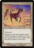 Odyssey -  Graceful Antelope
