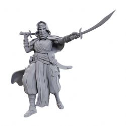 PATHFINDER DEEP CUTS FIGURINES NON PEINTES -  DESERT GIANT -  FIGURINE JDR