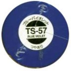 PEINTURE ACRYLIQUE -  TS-57 BLEU VIOLET - 100ML -  PEINTURE EN AEROSOL TS-57