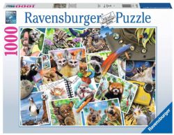 RAVENSBURGER -  LE JOURNAL DU VOYAGEUR (1000 PIÈCES)