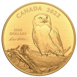 ROBERT BATEMAN -  SNOWY OWL ON DRIFTWOOD -  2022 CANADIAN COINS 04