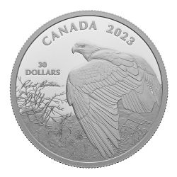ROBERT BATEMAN -  VANTAGE POINT – BALD EAGLE -  PIÈCES DU CANADA 2023