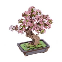 ROBOTIME -  SAKURA BONSAÏ -  ROLIFE
