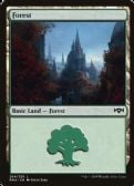 Ravnica Allegiance -  Forest