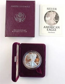 SILVER EAGLES -  PIÈCE D'UNE ONCE EN ARGENT PUR 1991 
