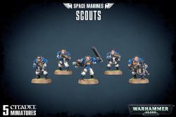 SPACE MARINES -  SCOUTS