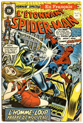 SPIDER-MAN -  EDITION 1973 27