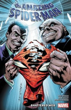 SPIDER-MAN -  SHATTERED WEB (V.A.) -  THE AMAZING SPIDER-MAN 12