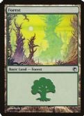 Scars of Mirrodin -  Forest