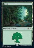 Secret Lair Drop -  Forest