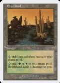 Seventh Edition -  Brushland