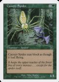Seventh Edition -  Canopy Spider