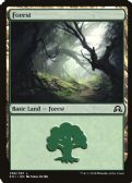 Shadows over Innistrad -  Forest