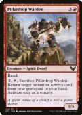 Strixhaven: School of Mages -  Pillardrop Warden