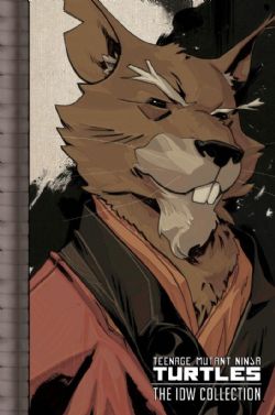 TEENAGE MUTANT NINJA TURTLES -  CR (V.A.) -  THE IDW COLLECTION 02