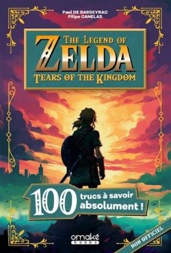 THE LEGEND OF ZELDA -  100 TRUCS À SAVOIR ABSOLUMENT ! (V.F.) -  TEARS OF THE KINGDOM
