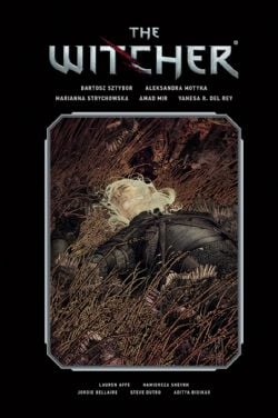 THE WITCHER -  LIBRARY EDITION - HC (V.A.) 02
