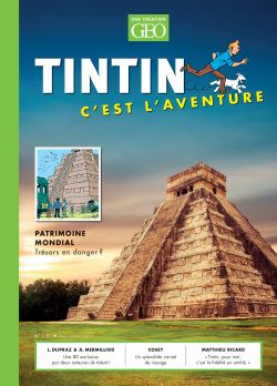 TINTIN -  TINTIN C'EST L'AVENTURE -  GEO 12