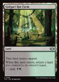 Tarkir: Dragonstorm Commander -  Golgari Rot Farm
