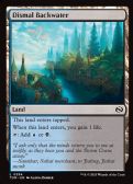 Tarkir: Dragonstorm -  Dismal Backwater