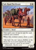 Tarkir: Dragonstorm -  Salt Road Packbeast