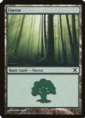 Tenth Edition -  Forest