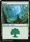 Throne of Eldraine -  Forest