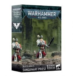 WARHAMMER 40K -  SANGUINARY PRIEST -  BLOOD ANGELS