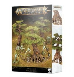 WARHAMMER : AGE OF SIGMAR -  AWAKENED WYLDWOOD -  SYLVANETH