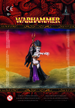 WARHAMMER : AGE OF SIGMAR -  DARK ELF SORCERESS -  CITIES OF SIGMAR