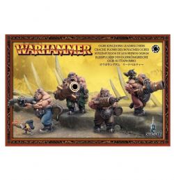 WARHAMMER : AGE OF SIGMAR -  LEADBELCHERS DIRECT ORDER -  OGOR MAWTRIBES