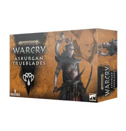 WARHAMMER : AGE OF SIGMAR - WARCRY -  ASKURGAN TRUEBLADES -  SOULBLIGHT GRAVELORDS