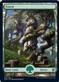 Zendikar Rising -  Forest