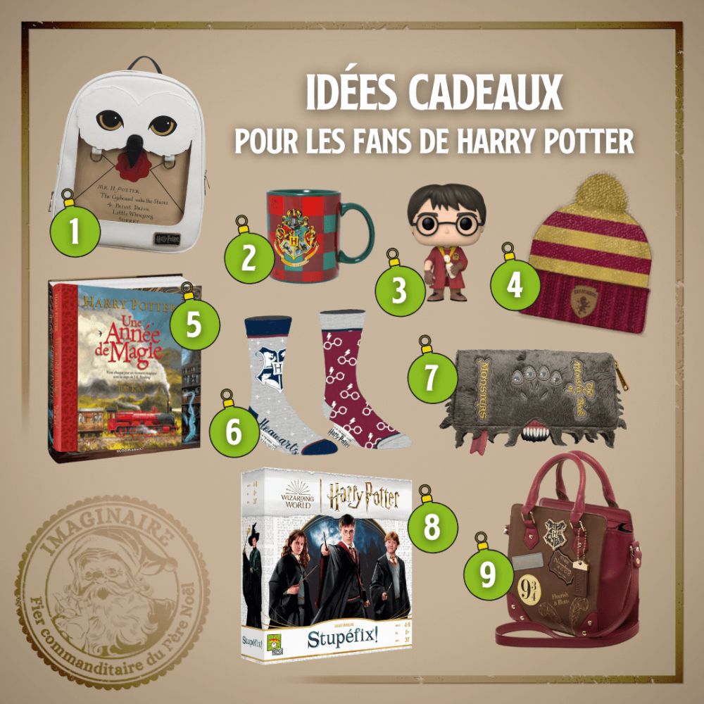Harry Potter: 100 cadeaux pour faire plaisir à un vrai fan de la saga ! -  MCE TV